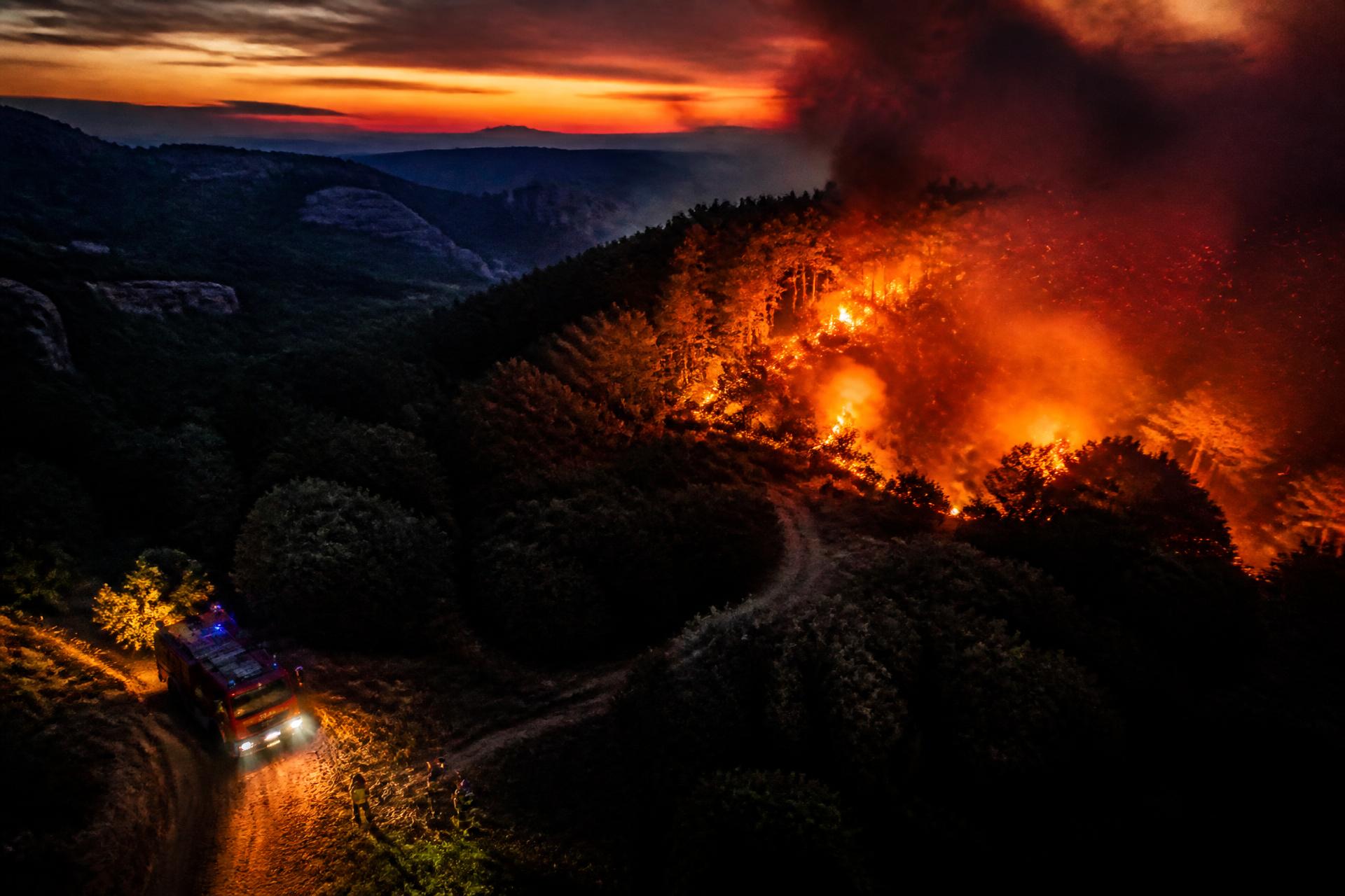 Feu de forêt vu du ciel